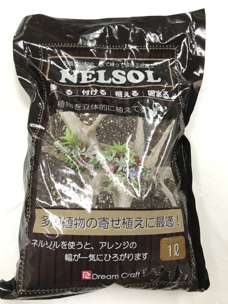 多肉植物 水で固まる土 ネルソル を使う変わった寄せ植えの作り方 ささやかボタニカルライフ